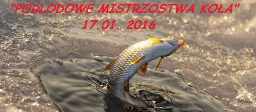 Zaproszenie na 