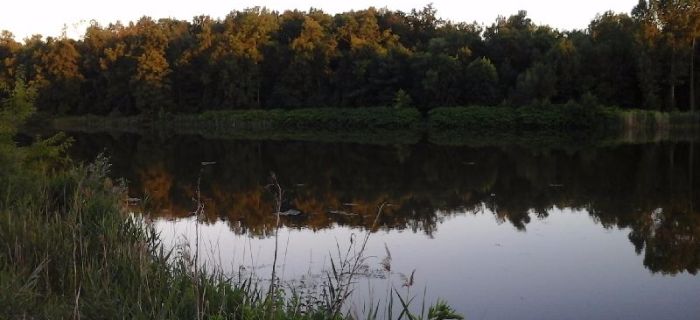 A nie mówiłem. WARTA