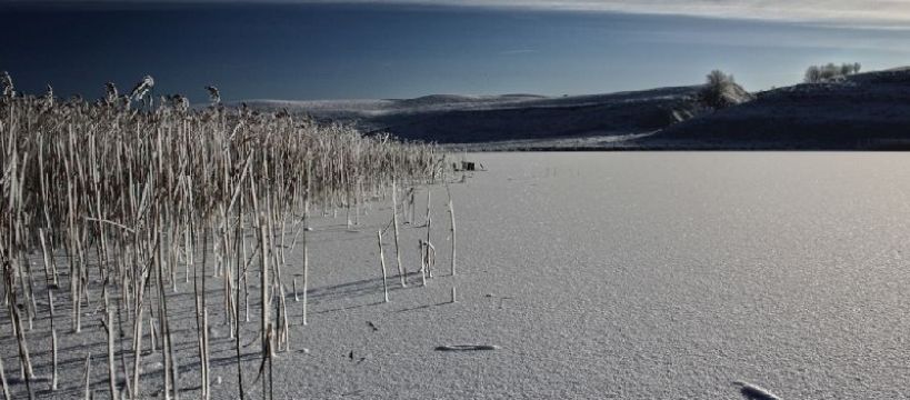 Podlodowe Mistrzostwa Koła PZW 28