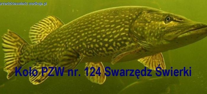 Zebranie członków Koła Swarzędz Świerki 2016.