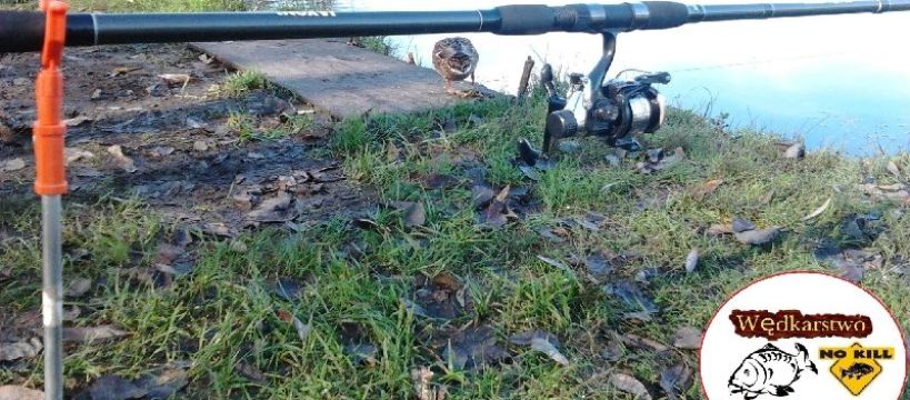 Wczesną wiosną na karpie!