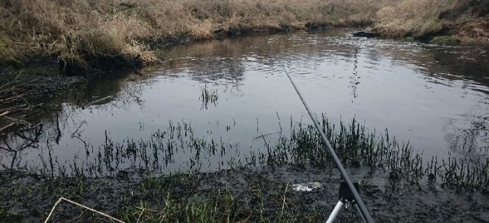 Wędkowanie na spławik - zimowy falstart.