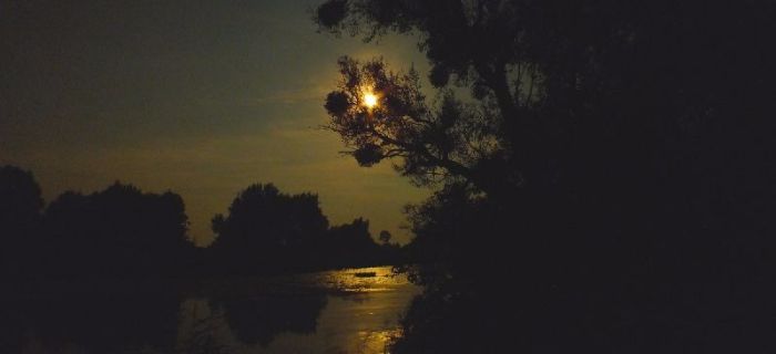Wędkarski horror - Mroczna strona jeziora....