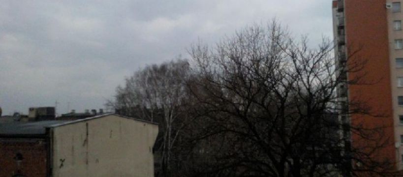 Marzenie ściętej głowy