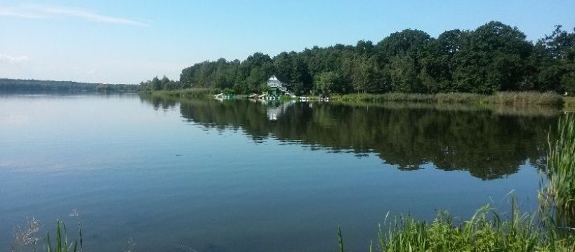 Pzw Tychy kolo 0 60 imprezy 2016 rok
