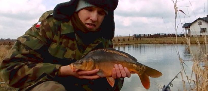Karp, Karaś . Wędkarska wiosna 2016