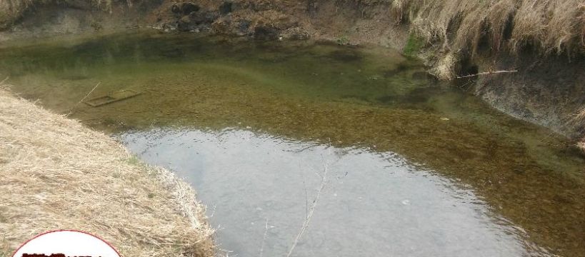 Ku przestrodze -te ryby mają moc