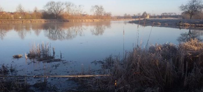 Ujście rzeki Beniaminówki i rozlewisko przy straży