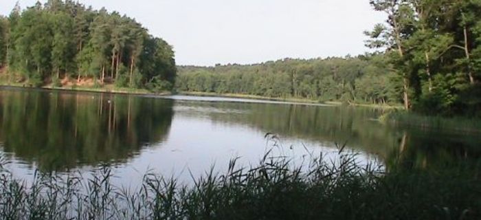 Harmonogram zawodów na 2016 rok