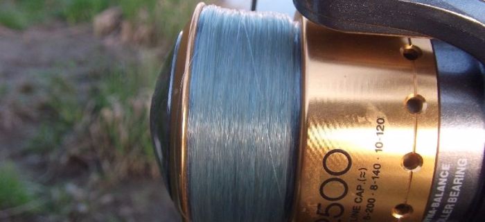 Żyłka Dragon NanoPower Okoń