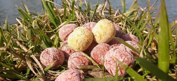 Kulki Marfish - nowość w karpiowym świecie!