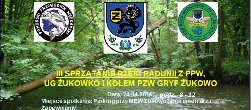 Sprzątanie rzeki Raduni.
