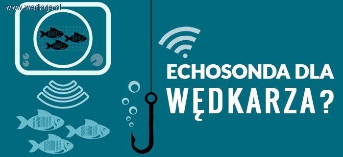 Echosonda – w czym może pomóc wędkarzowi?