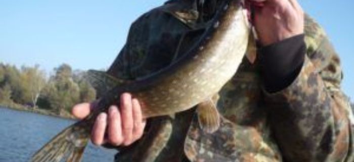 Spinning Big Fish – Spinningowe Mistrzostwa Koła