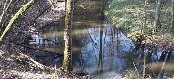 Przygoda nad małą rzeczką. FILM!