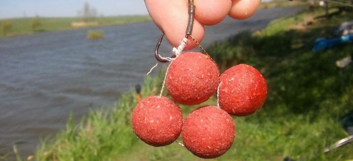 Wędkarska wyprawa nad Besku