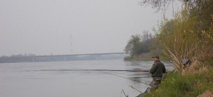 Ogłoszenie - II Towarzyskie Zawody Spławikowo - Gruntowe Koła PZW nr 54 Sum Wyszogród