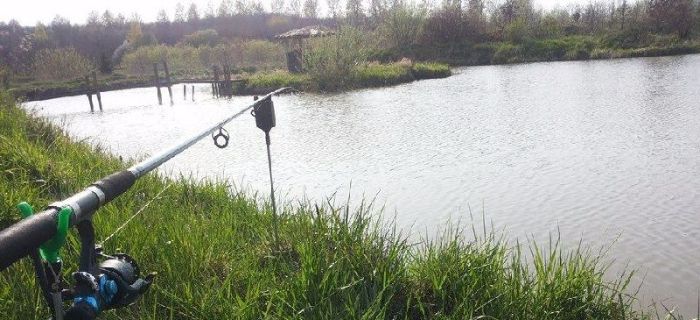 Łowisko ORLE STAWY Lędziechowo