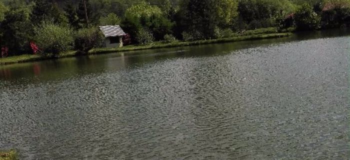 Staw Polana