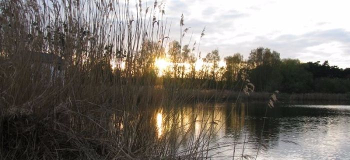 Spławikowa przystawka