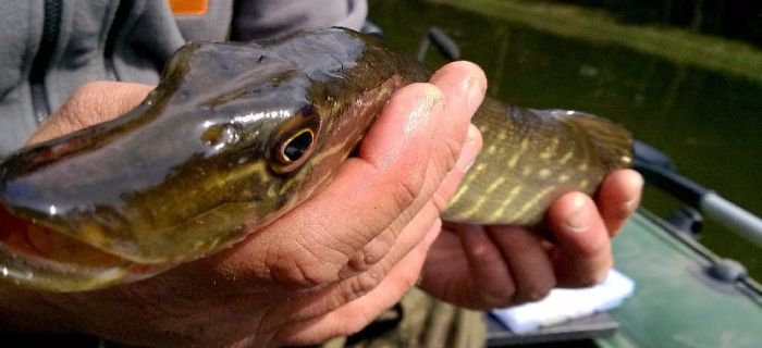 Relacja z Zawodów Spinningowych (08.05.2016)