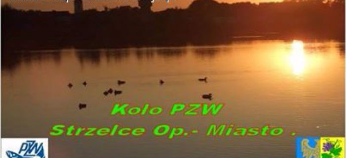 Zawody o Puchar Przewodniczącego Rady Miasta