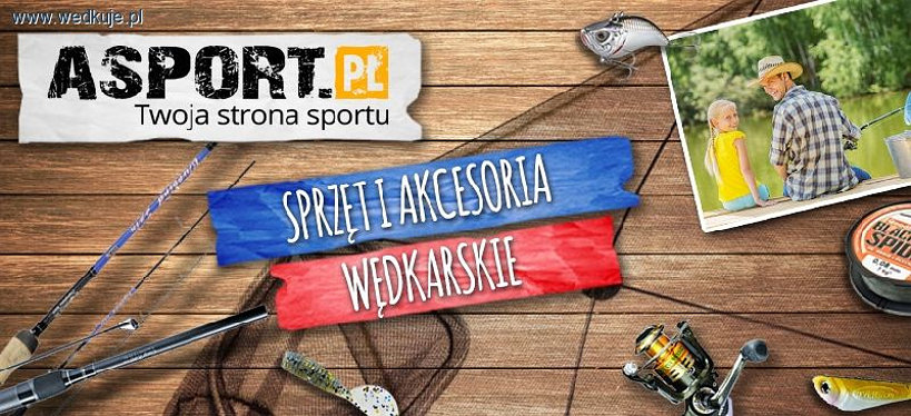 Gry online dla miłośników wędkarstwa