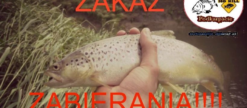 Zakaz na Lubatówce oraz akcja ochrony ryb na Podkarpaciu!