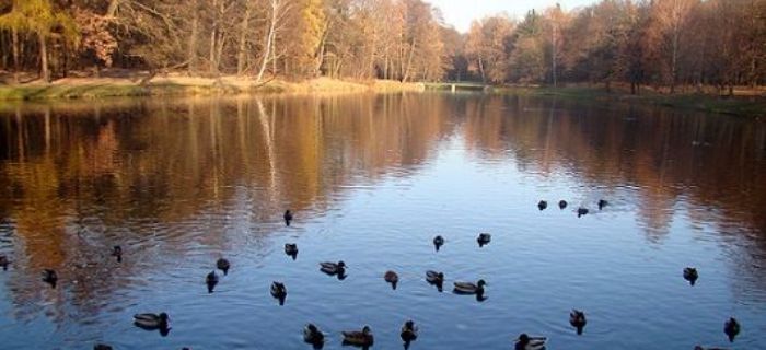 Płynie wije się rzeczka.