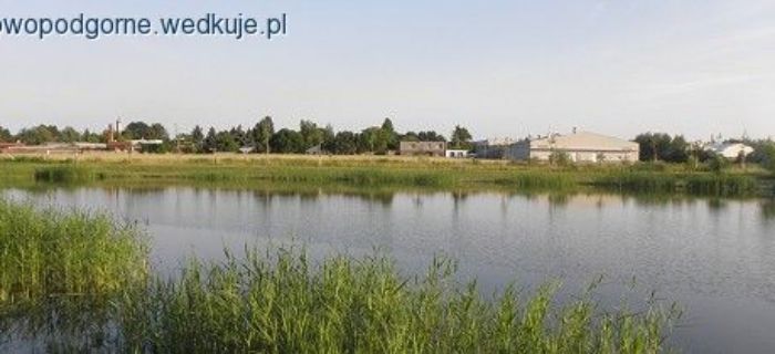 Spławikowy Mistrz Kola 2016 wyłoniony!!!