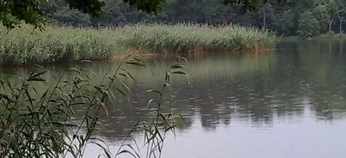 Jezioro Jeziory Małe