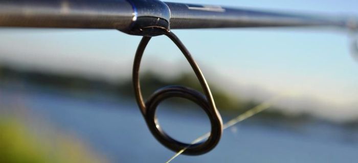 Robinson Diplomat Perch Jig 3-15g