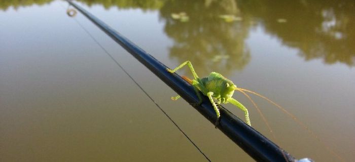 Wyprawa wędkarska czyli znów niewypał