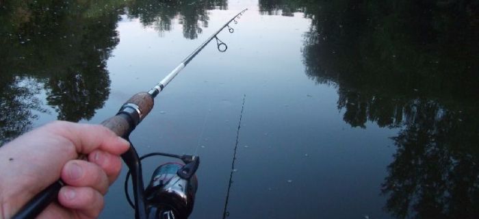 Dragon Specialist Pro Chub 2,75 m cw 3-18 g