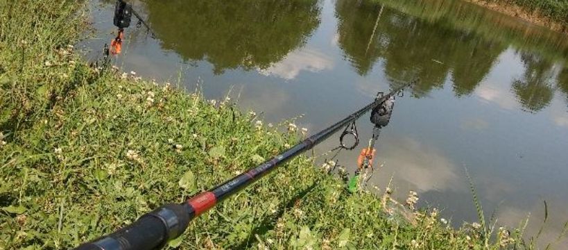 Wędka York Devil 2 Carp