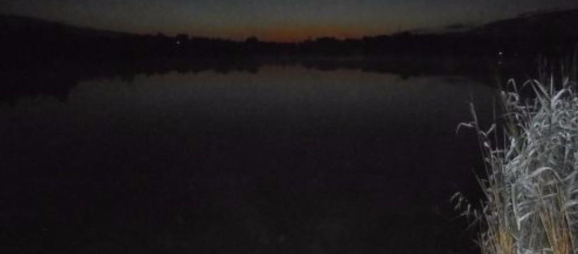 NOCNE - OWIŃSKA - wyniki