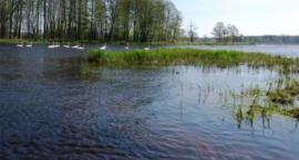Strzyże - Narew - okolice miejscowości Strzyże nad Narwią
