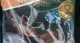 Wiosenne Karpie z Kanału Gliwickiego