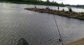 Okunin -Narew
