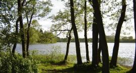 Jezioro Ostrowo (Wyspa)