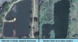 Glinianki Sznajdra - Schneidra