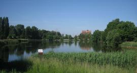 Staw przy ul. Przędzalnianej - Łódź