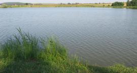 Stawy Bartoszów
