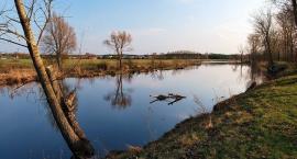 Mazowiecka rzeka Liwiec