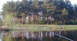 Starorzecze Bugu w Szuminie 