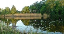 Zbiornik Lenartowice