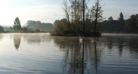 Uniegoszcz-staw nr 1 