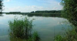 Witulin