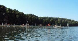 Jezioro Radziszewskie - Chojno