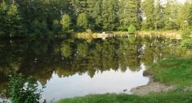 Staw Wroński